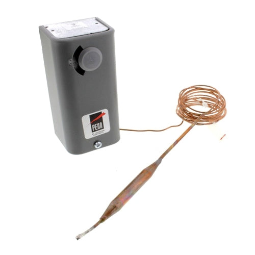 Johnson Controls A19ABC-24C