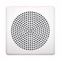 Wheelock E50-W Speaker, Square, Semi Flush, Wall, 24VDC, White