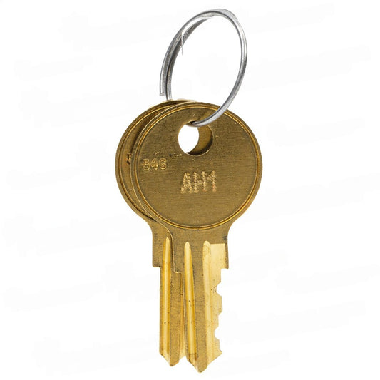 Fike 02-12025 Enclosure Key