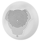 SYSTEM SENSOR SPCW