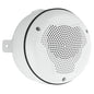 System Sensor SPCWK