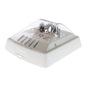 Wheelock HSW White Horn-Strobe
